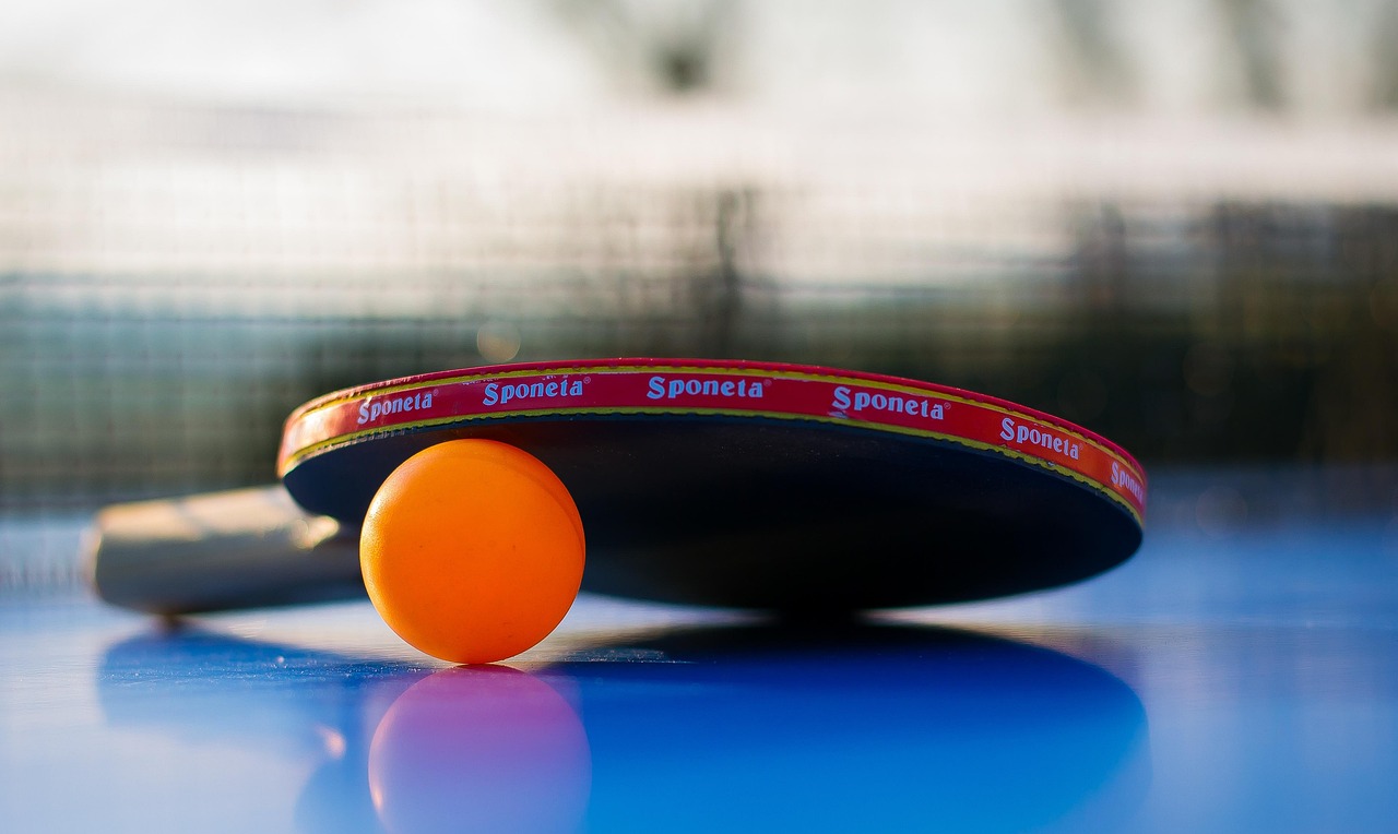 sports, ball, leisure time, game, table tennis, ping-pong, nature, to play, fun, game device, summer, tennis sports, tennis